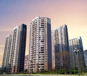 百乐森林舞会(中国游)官方网站